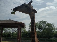 -石家庄市动物园