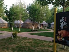 -九十九顶毡房(阜石路店)