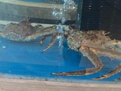 -海泰食府·新鲁菜·家宴(总部基地店)