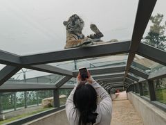 -西霞口神雕山野生动物世界