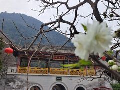 -华清宫景区