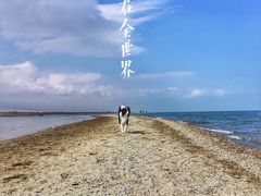 -青海湖国家重点风景名胜区售票处