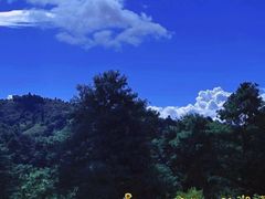 -名花谷生态庄园