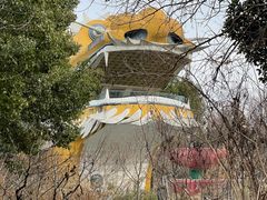 -华西村