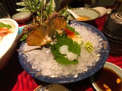 -初花·日本料理