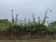 -华雅花园大酒店