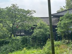 -大唐贡茶院