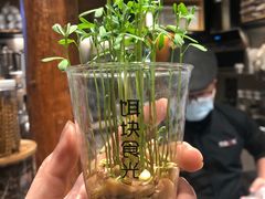 -饵块食光·云南有机手作饵块