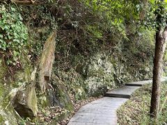 -石台牯牛降景区