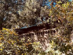 -香山公园