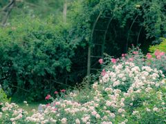 -人民公园(罗湖区)