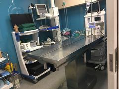 -爱诺耐芙动物医院(万博店)