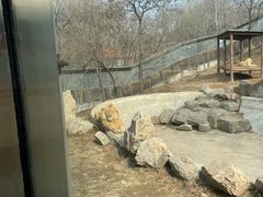 -石家庄市动物园