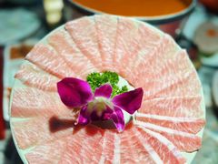 -禄婶鸡煲·打边炉