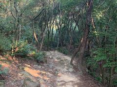 -宝界山林公园