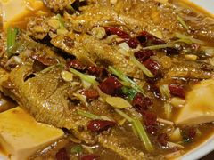 黄鱼烧豆腐-老兰家传统烧烤炒菜泡馍(小南门店)