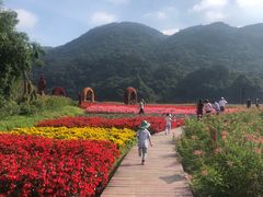 -广州市石门国家森林公园