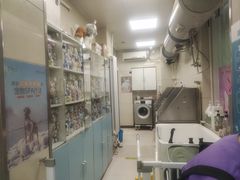-北京观赏动物医院·24小时大型综合·猫专科·异宠专科