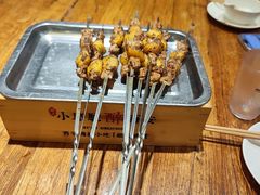 -福苗小骆驼烧烤(莲湖路店)