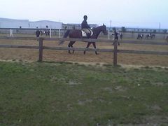 -松声马术俱乐部