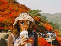 -木兰云雾山