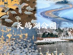 -海源公园