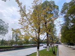 -西南政法大学(渝北校区)