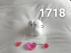 -北京索菲特大酒店