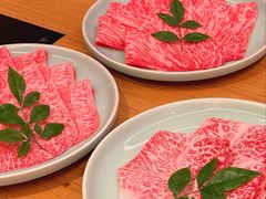 -然锅料理