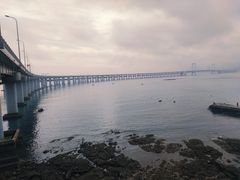 -星海湾跨海大桥
