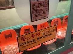 -猫咪博物馆(顶澳仔猫街店)