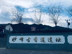 -阳台山自然风景区