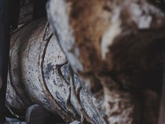 -海南槟榔谷黎苗文化旅游区