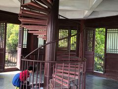 -杭州半山国家森林公园