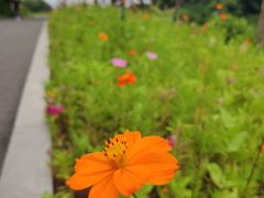 -南京市江宁方山