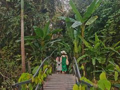 -中国科学院西双版纳热带植物园