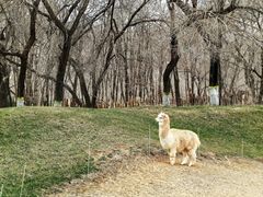 -北京野生动物园