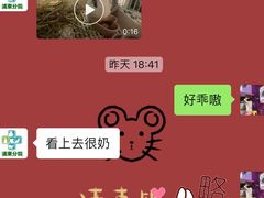 -雨林宠物医院·异宠专科(浦东分院)