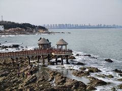 -养马岛旅游度假区