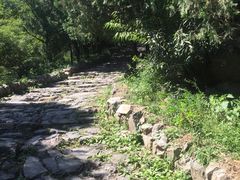 -阳台山自然风景区