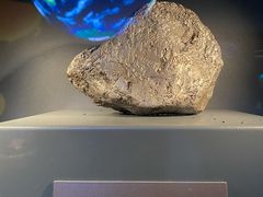 -浙江自然博物院(杭州馆)