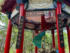 -微山湖红荷湿地景区