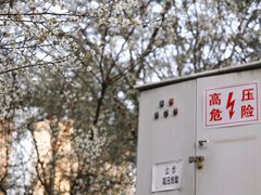 -金山公园