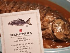 -阿五黄河大鲤鱼(纬三路店)