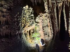 -灵栖洞天