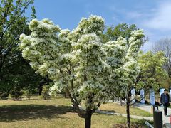 -国家植物园南园