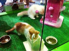 iphone_upload_pic-东浩兰生上海世博展览馆