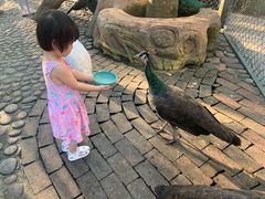 -西双版纳傣族园