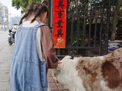 -豆舞咖啡(民乐路店)