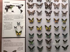 -天津自然博物馆